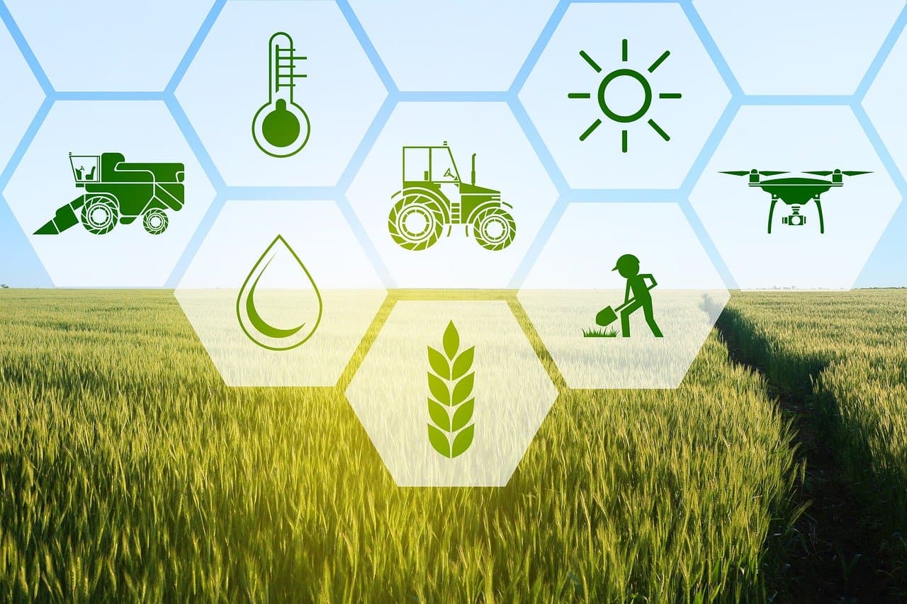 AI in Agricoltura