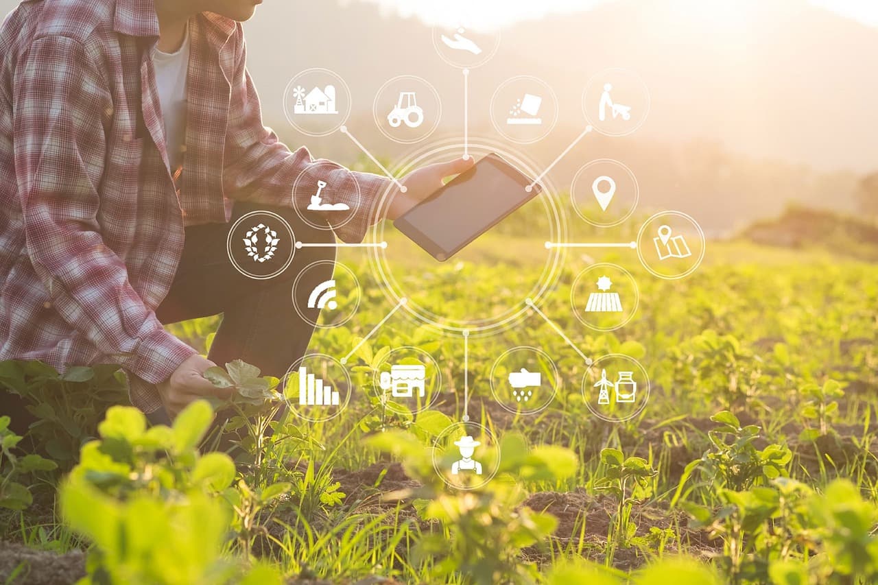 IoT in agricoltura